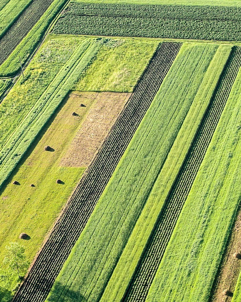 Aerial view of cultivated strip fields